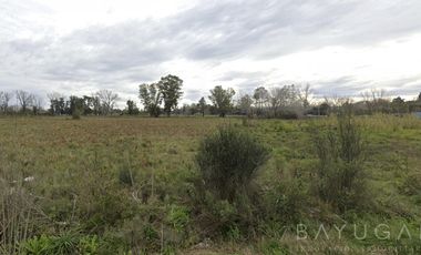 Venta Fracción 8 has - Acceso Oeste - Gral Rodriguez