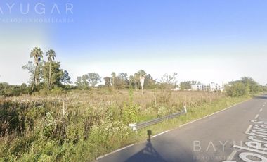 Venta Fracción 8 has - Acceso Oeste - Gral Rodriguez