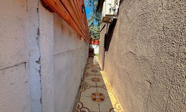 EL ABETO 3364