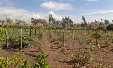 QUINTA EN VENTA  EN MONTALVO. TUNGURAHUA