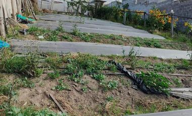 TERRENO EN VENTA EN PINLLO. PARA VIVIENDA O NEGOCIO. AMBATO