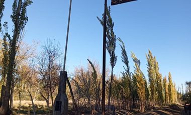 VENDO CHACRA  EN CERVANTES