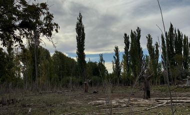 VENDO CHACRA  EN CERVANTES