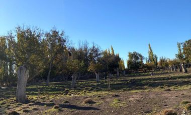 VENDO CHACRA  EN CERVANTES