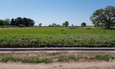 Lotes en  Ribera de Caima ideal inversión