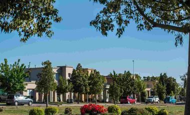 VENTA DUPLEX MAIPU MENDOZA TORREON