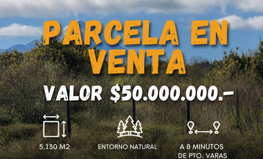PARCELA EN VENTA EN PUERTO VARAS