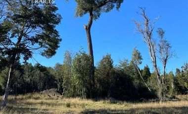 Parcela en venta  en PUERTO VARAS