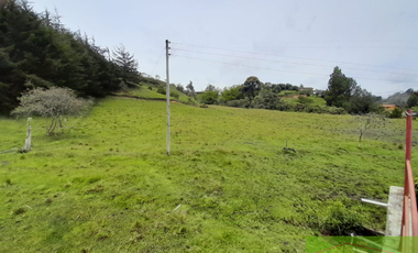 Vendo Finca en San vicente ferrer