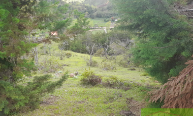 Vendo Finca en San vicente ferrer