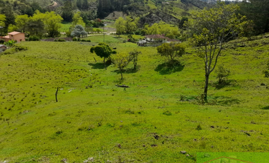 Vendo Finca en San vicente ferrer