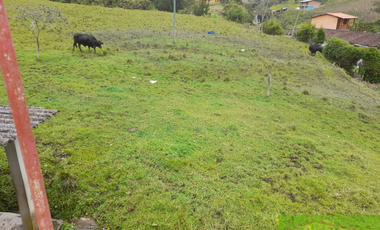 Vendo Finca en San vicente ferrer