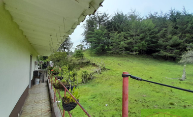 Vendo Finca en San vicente ferrer
