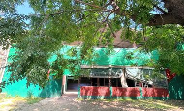 Canchas de padel con gran tinglado