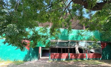 Canchas de padel con gran tinglado