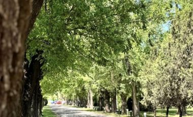 VENTA DE LOTE  LA MAGDALENA BARRIO GOLD CANNING