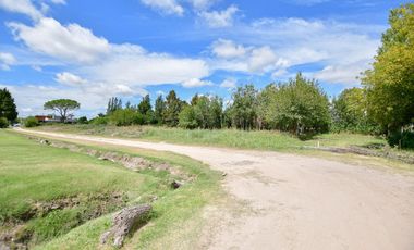 TERRENO EN VENTA GORINA - EL ÁLAMO