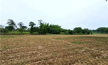 LOTES CAMPESTRES PUEBLO TAPAO – LA TEBAIDA 2000