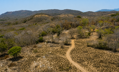 32.3 Hectares (79.8 Acres) | Southern Troncones  Land Opportunity