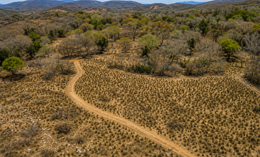 32.3 Hectares (79.8 Acres) | Southern Troncones  Land Opportunity