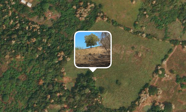 32.3 Hectares (79.8 Acres) | Southern Troncones  Land Opportunity