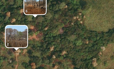 32.3 Hectares (79.8 Acres) | Southern Troncones  Land Opportunity