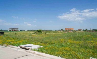 LOTE SAINT THOMAS CHICO CANNING EN VENTA