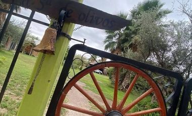 VENTA DE  CASA QUINTA CON PILETA EN MAIPU