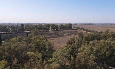 VENTA CAMPO 16 HAS B FERREYRA CORDOBA