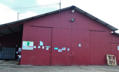 CAMPO AGRÍCOLA, VIÑEDO EN VENTA, PENCAHUE, 100 HA