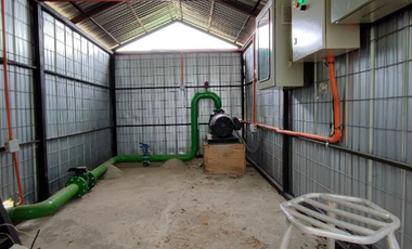 CAMPO AGRÍCOLA, VIÑEDO EN VENTA, PENCAHUE, 100 HA