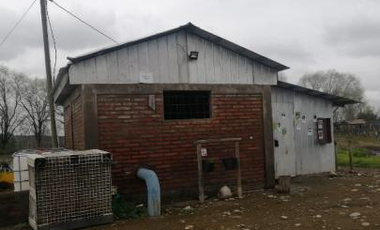 CAMPO AGRÍCOLA, VIÑEDO EN VENTA, PENCAHUE, 100 HA
