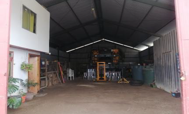 CAMPO AGRÍCOLA, VIÑEDO EN VENTA, PENCAHUE, 100 HA