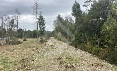 Parcela en Venta en Pasado Nueva Braunau