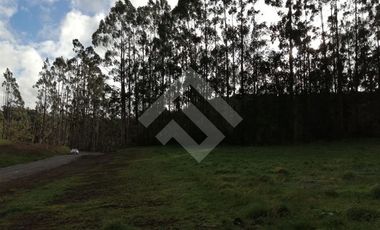 Parcela en Venta en al Oeste de Nueva Braunau