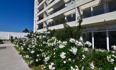 Departamento en arriendo  en SAN MIGUEL