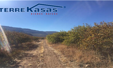 Rancho en Venta en Tabasco, Zacatecas