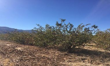 Rancho en Venta en Tabasco, Zacatecas