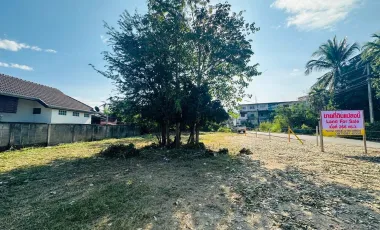 Land for sale in Rim Nuea, Chiang Mai
