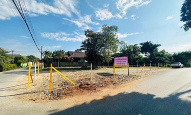 Land for sale in Rim Nuea, Chiang Mai