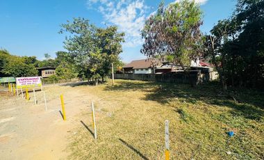 Land for sale in Rim Nuea, Chiang Mai