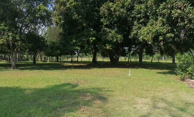 TERRENO EN VENTA CARRETERA HACIA REFORMA CHIAPAS