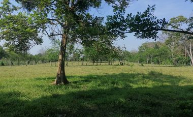 TERRENO EN VENTA CARRETERA HACIA REFORMA CHIAPAS