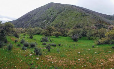 TERRENO EN VENTA EN TECATE