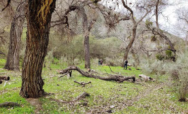 TERRENO EN VENTA EN TECATE