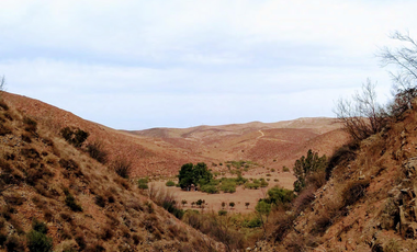 TERRENO EN VENTA EN TECATE