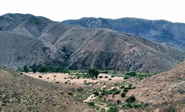 TERRENO EN VENTA EN TECATE