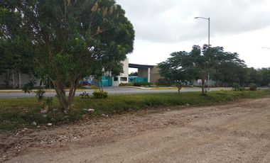 OPORTUNIDAD - DESARROLLADORES  CANCÚN,  $7,300,000.00   AV. HUAYACÁN Y AV. 135