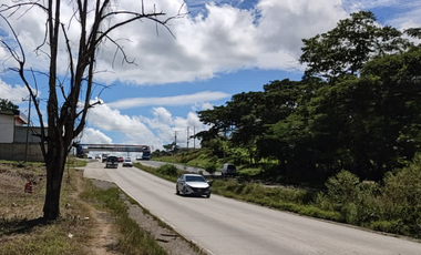 Se vende finca de 5 Hectáreas con 500mt2 Interamericana La Chorrera