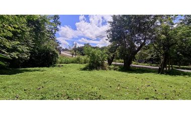 Se vende finca de 5 Hectáreas con 500mt2 Interamericana La Chorrera